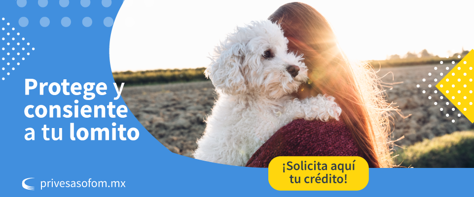 Protege a tu mascota, con un seguro podrías conseguir un ahorro importante, así cuidas de él y de tus finanzas personales o familiares.
