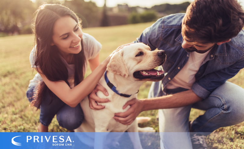 Protege a tu mascota, con un seguro podrías conseguir un ahorro importante, así cuidas de él y de tus finanzas personales o familiares.